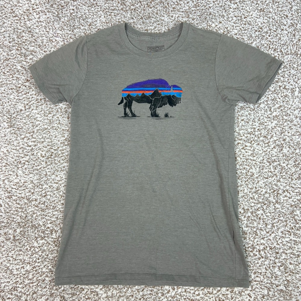 Patagonia Shirt Mens XS Gray Bison Fitz Roy Graphic Outdoor Hiking Gorp Tee T